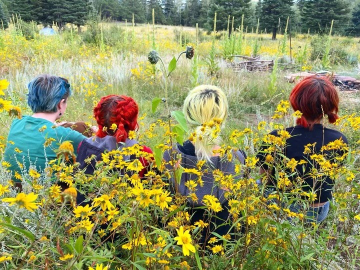 Four Kids in Meadow photo by Katy Yanda